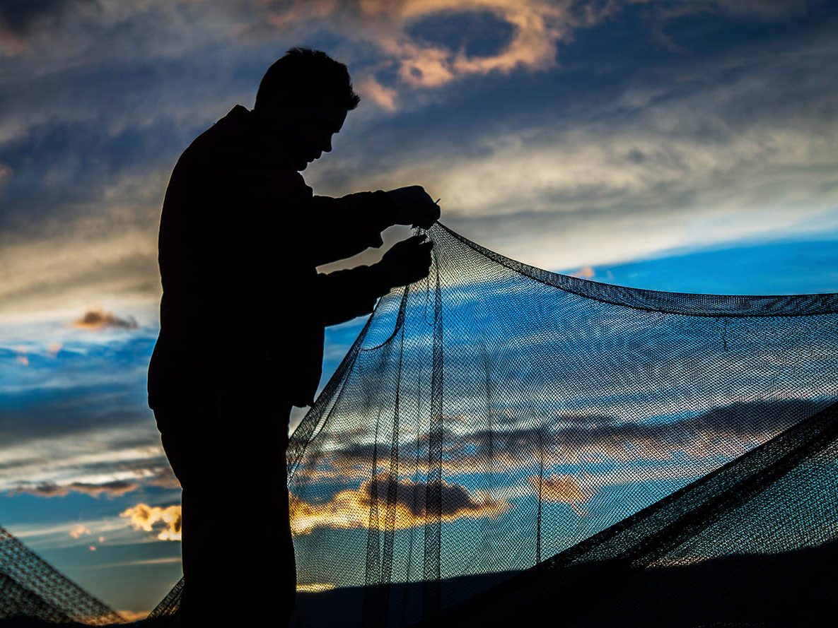 riva-iz-uzgoja-rijeka