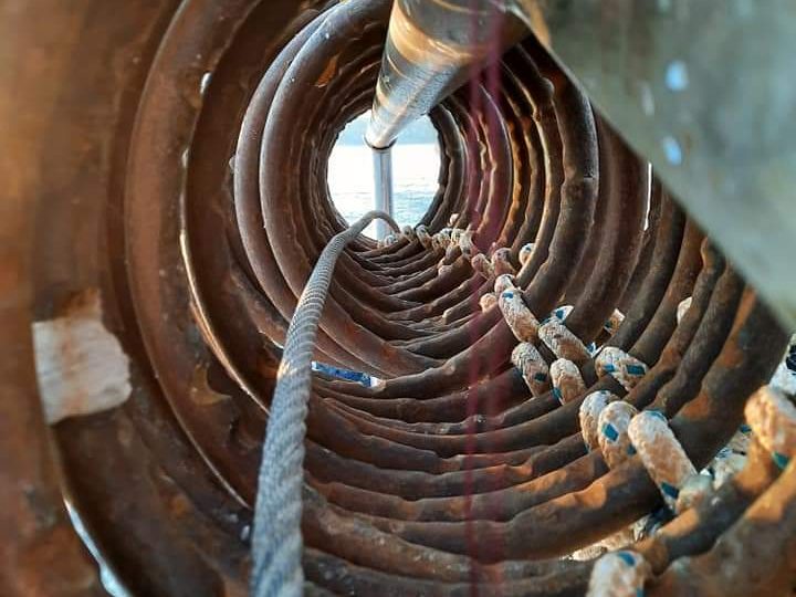 smrznuti-riblji-proizvodi